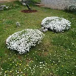 Apartman Tiziana